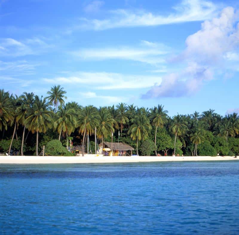 Download this Meeru Island Resort Remend This Page Tweet picture