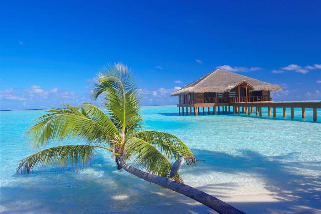 Medhufushi Island Resort Photos - Maldives Tourism