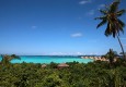 Treetop-View-to-the-Sea