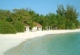 Beach Bungalow Landscape.JPG