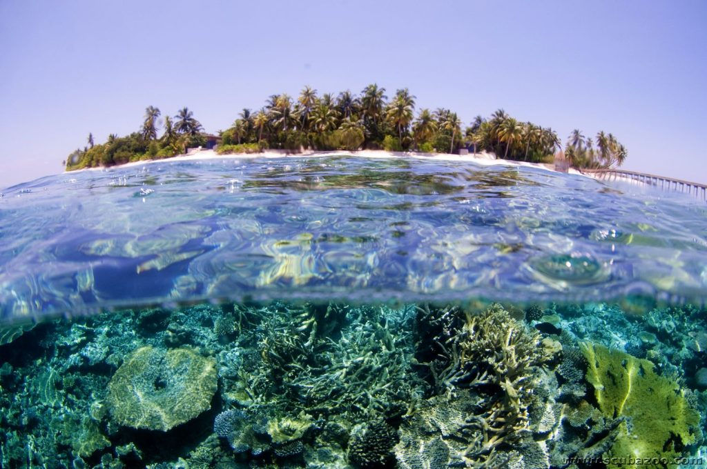 House reef next to a resort island