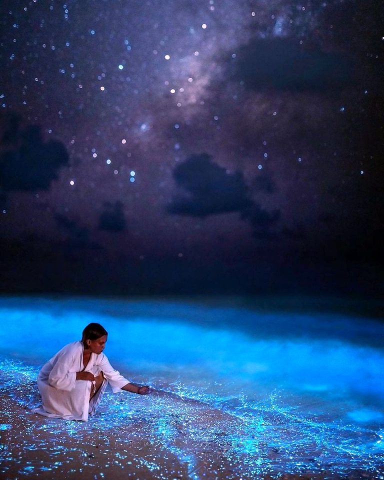Glowing Beach Enchanting Sea Of Stars In The Maldives Islands Glowing Beach Enchanting Sea Of Stars In The Maldives Islands