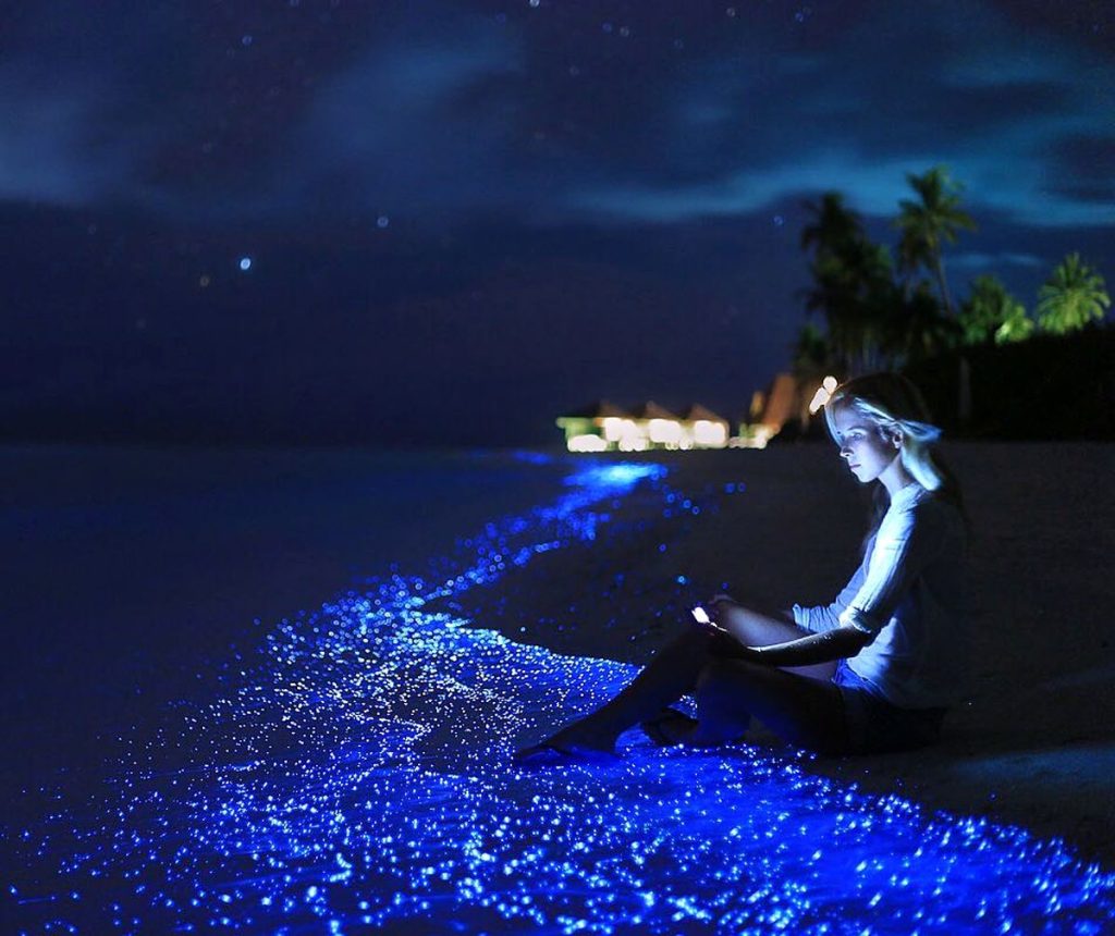 girl on the beach with sea of stars