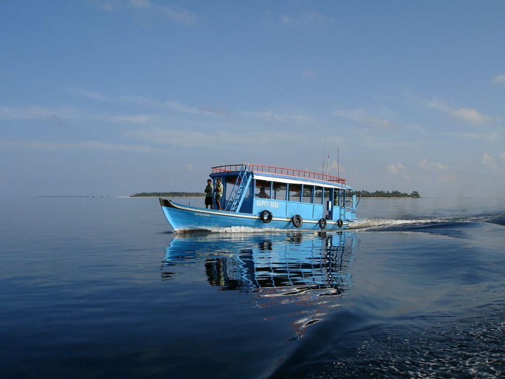 sailing dhoani